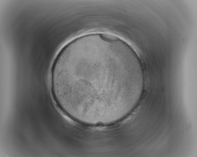 X0000111631519200908071400