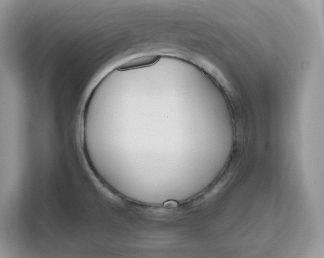 X0000111631520200908071400