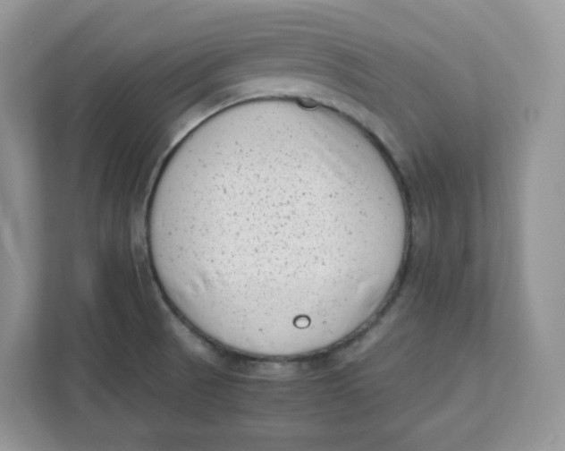 X0000111631521200908071400