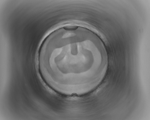 X0000111631522200908071400