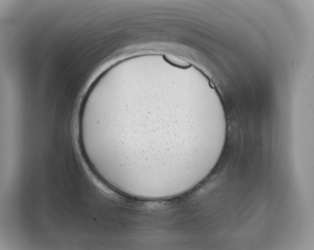 X0000111631523200908071400