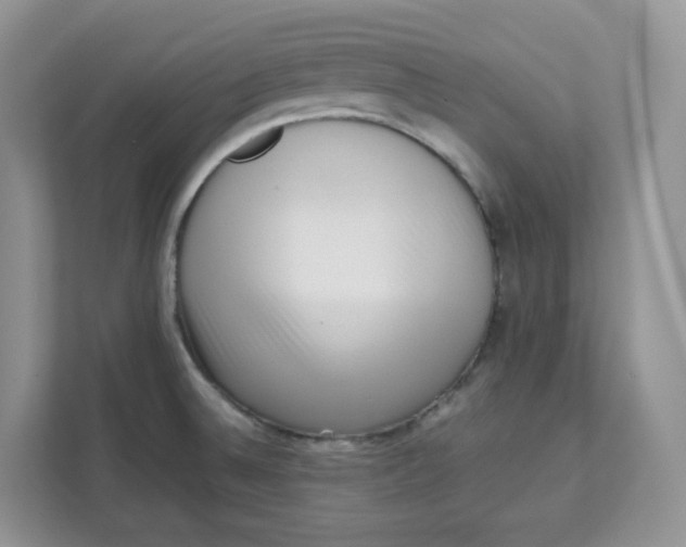 X0000111631524200908071400