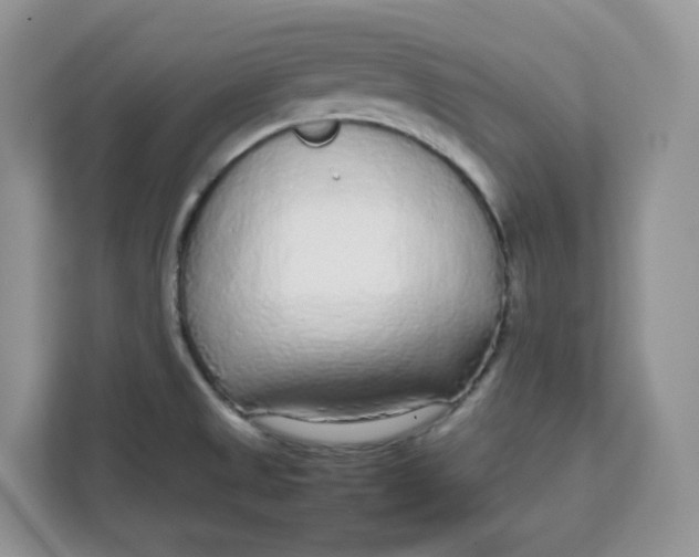 X0000111631525200908071400