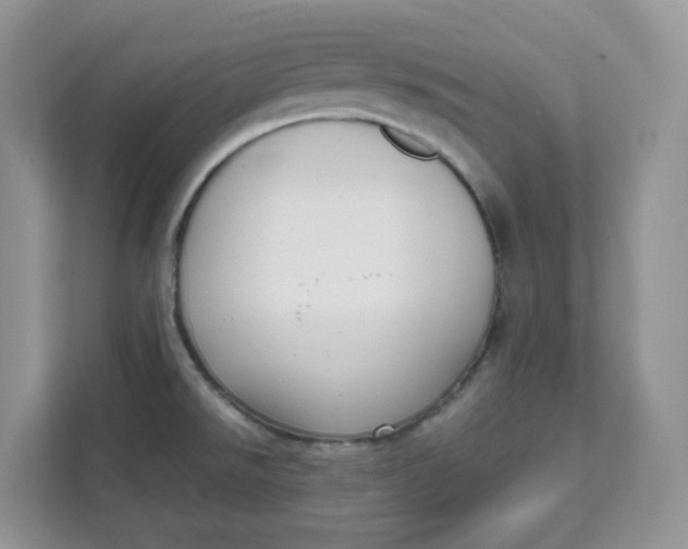 X0000111631526200908071400