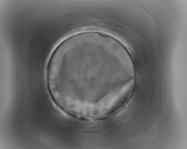 X0000111631527200908071400