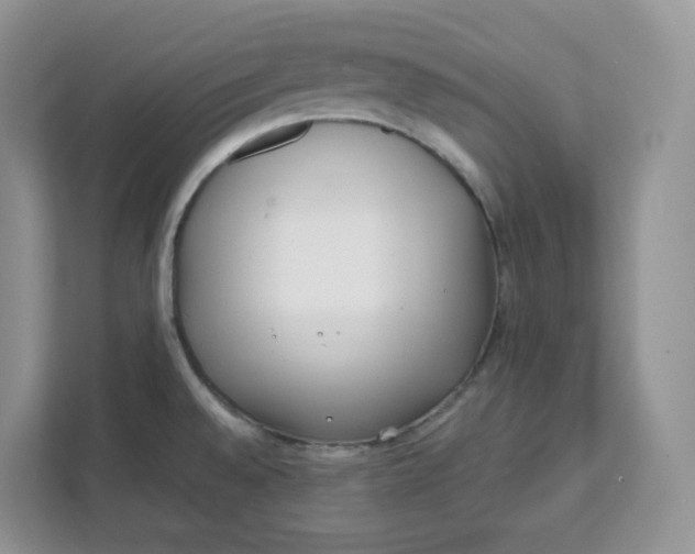 X0000111631528200908071400