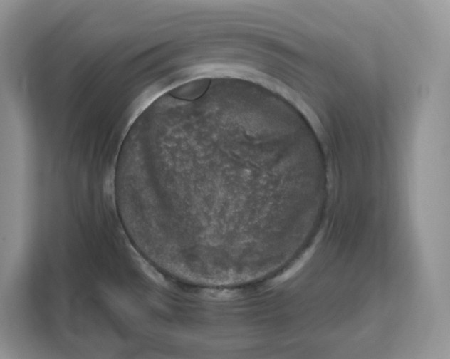 X0000111631529200908071400