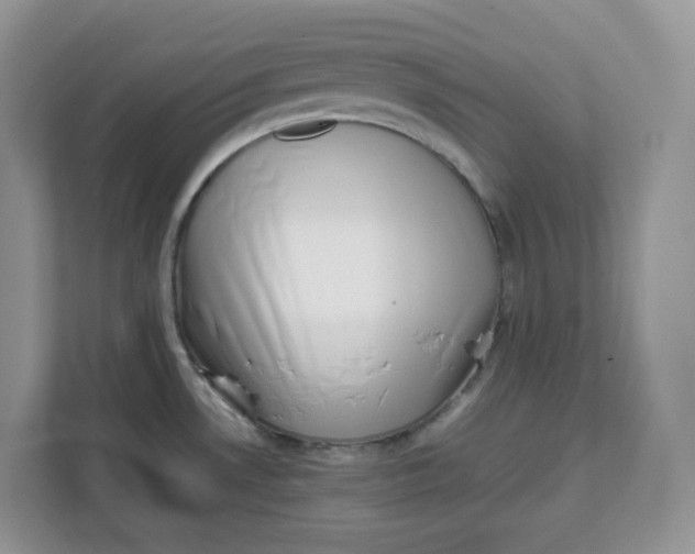 X0000111631530200908071401