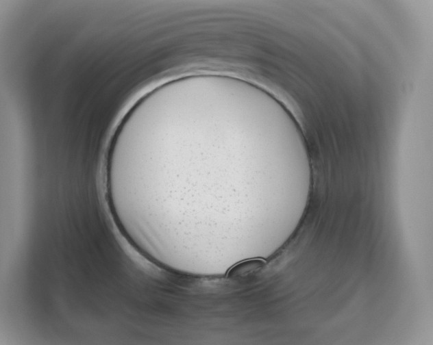 X0000111631531200908071401