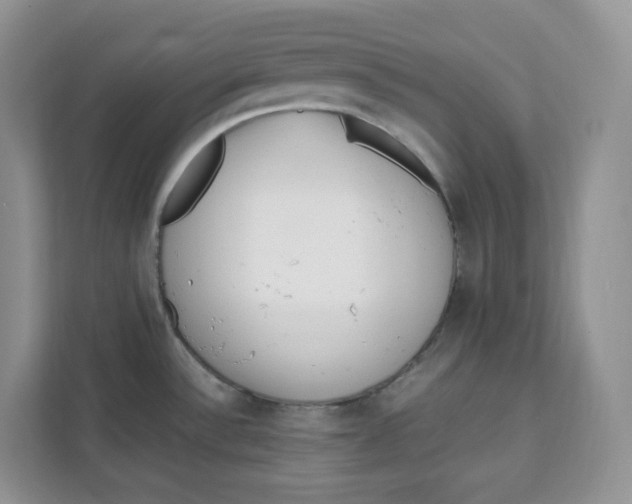 X0000111631532200908071401