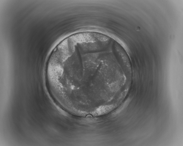 X0000111631533200908071401