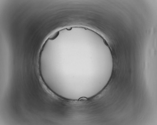 X0000111631534200908071401