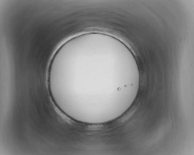 X0000111631535200908071401