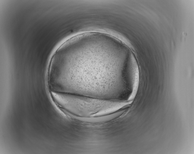 X0000111631536200908071401