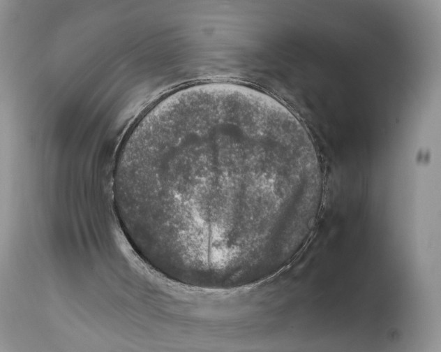 X0000111630002200908141354