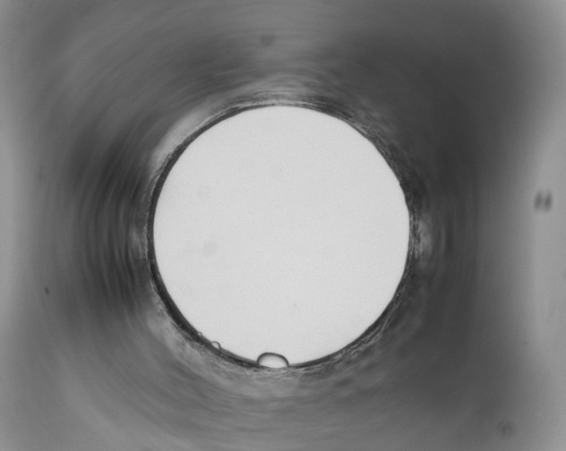 X0000111630004200908141354