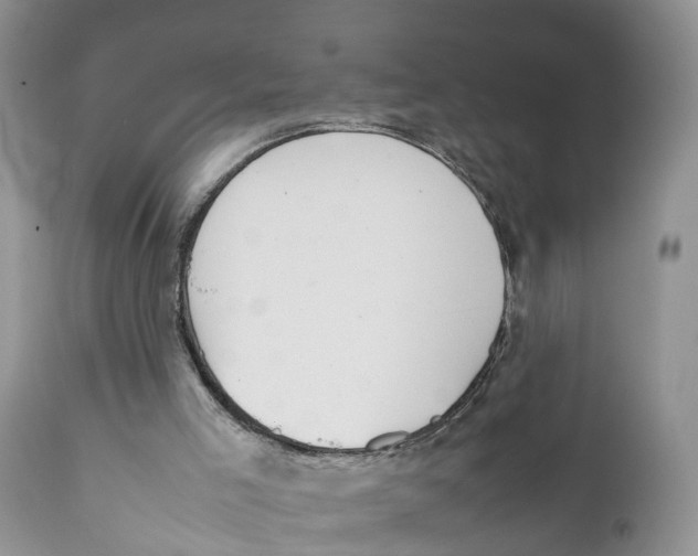 X0000111630005200908141354