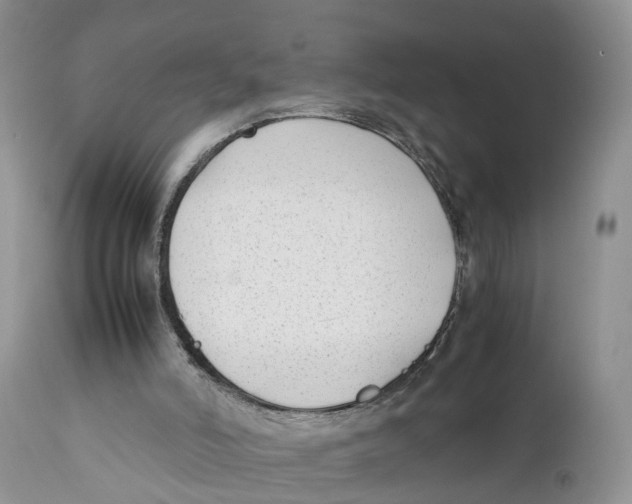 X0000111630006200908141354