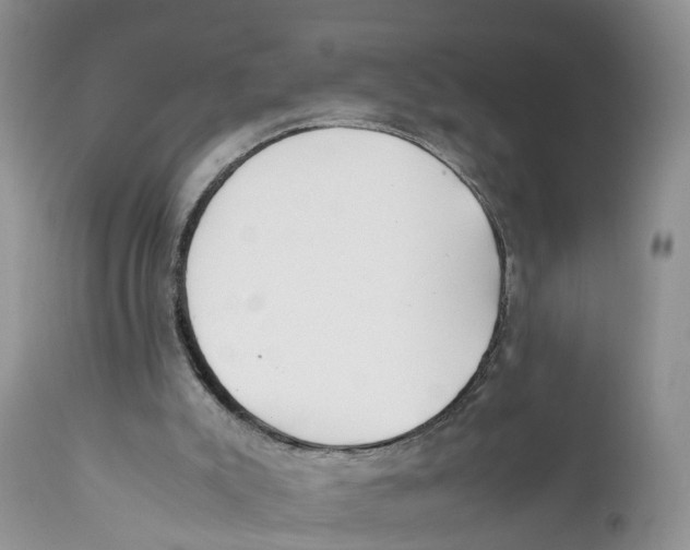 X0000111630007200908141354