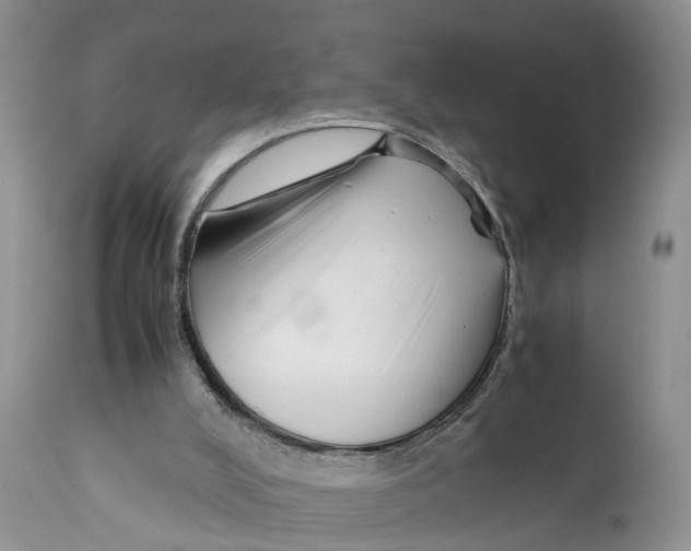X0000111630008200908141354