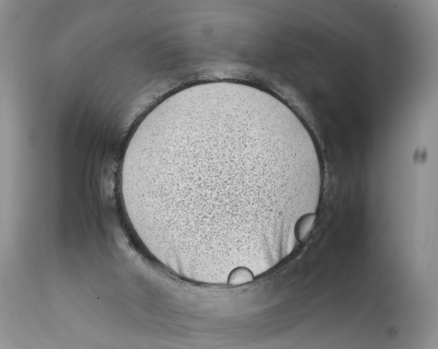 X0000111630010200908141354