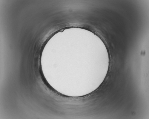 X0000111630011200908141354