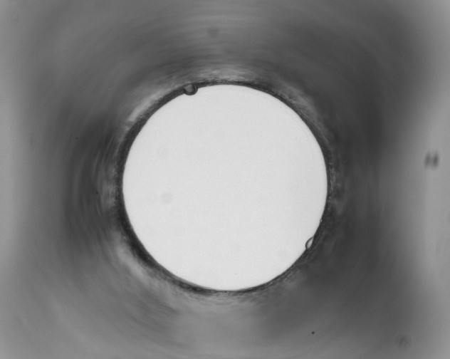 X0000111630012200908141354