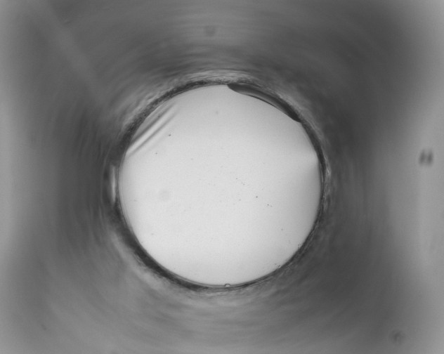 X0000111630013200908141354