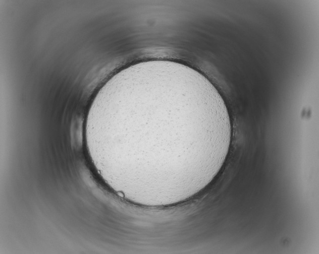 X0000111630014200908141354