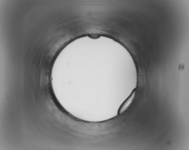 X0000111630015200908141354