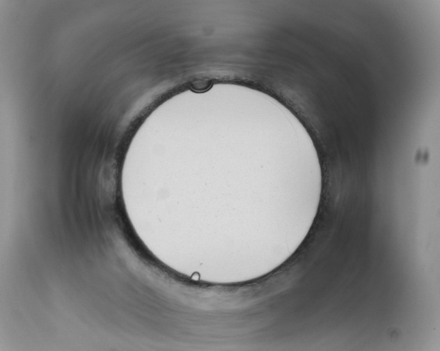 X0000111630016200908141354
