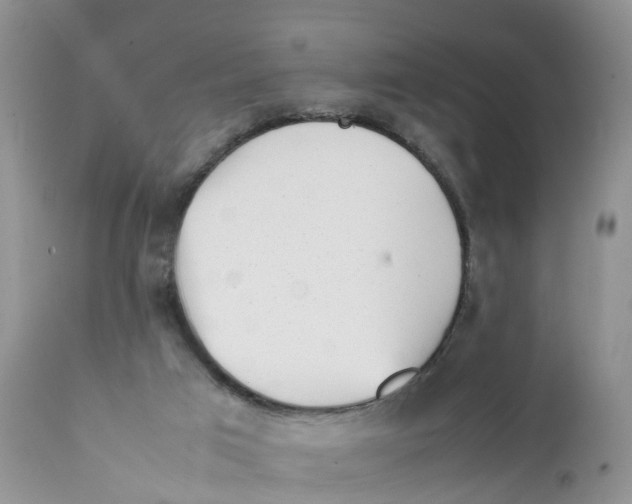 X0000111630017200908141354