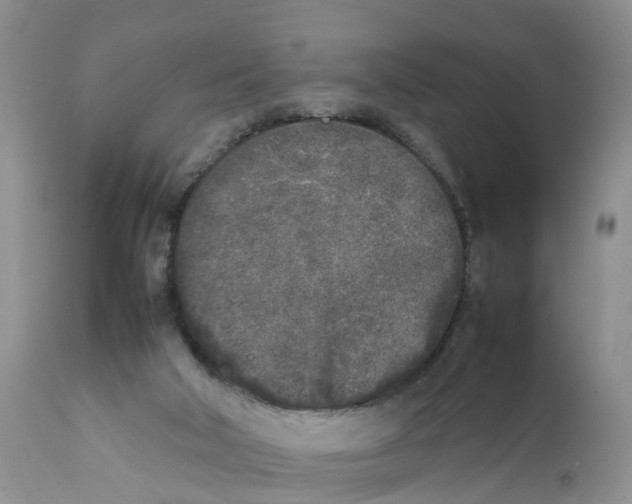 X0000111630018200908141354