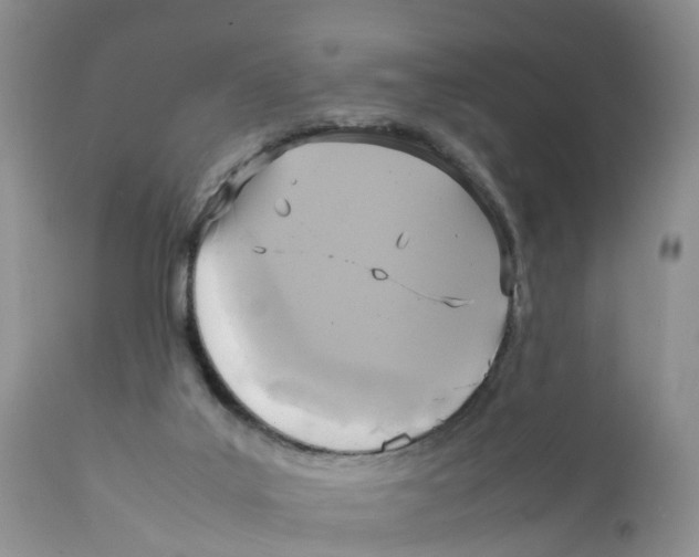 X0000111630019200908141354