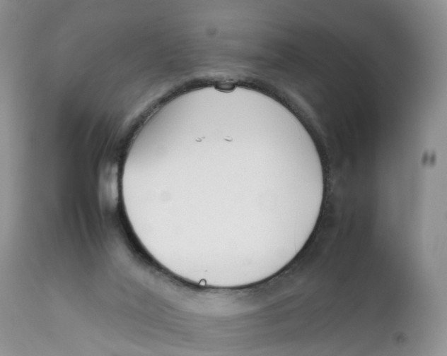 X0000111630020200908141354