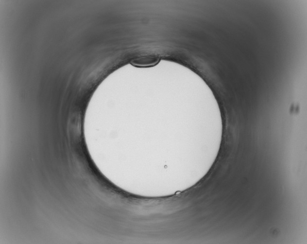X0000111630021200908141354