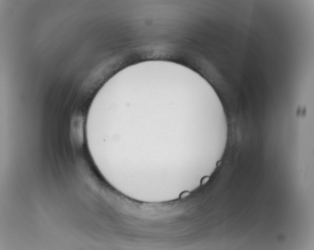 X0000111630022200908141354