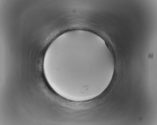 X0000111630023200908141354