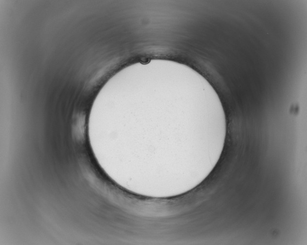 X0000111630024200908141354