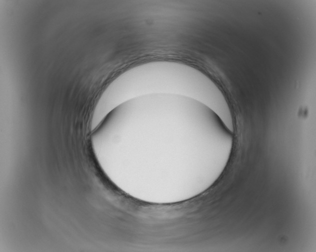 X0000111630025200908141354