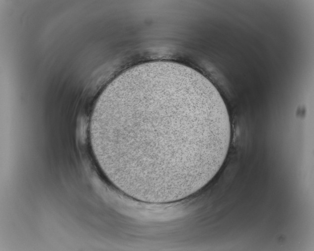 X0000111630026200908141354