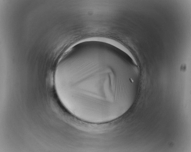 X0000111630027200908141354