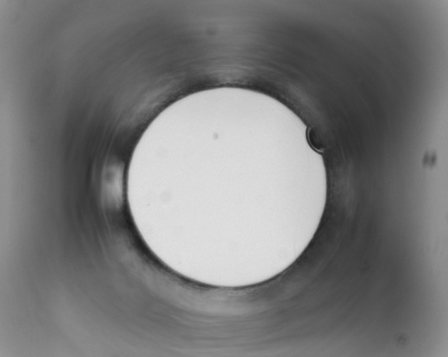 X0000111630028200908141354