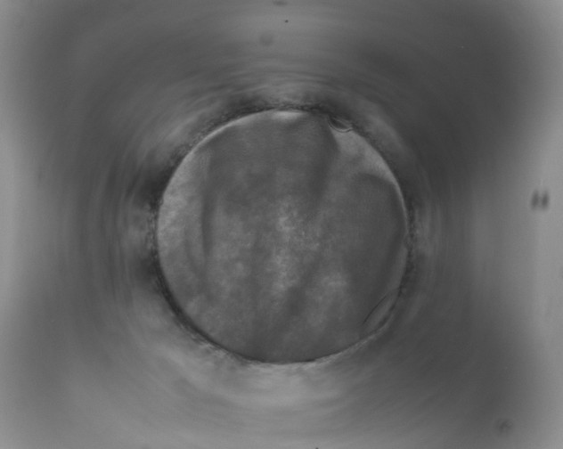 X0000111630029200908141354