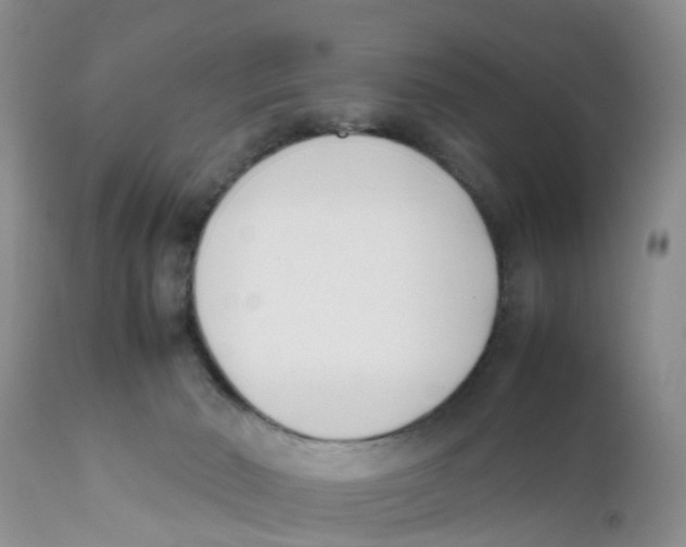 X0000111630030200908141354