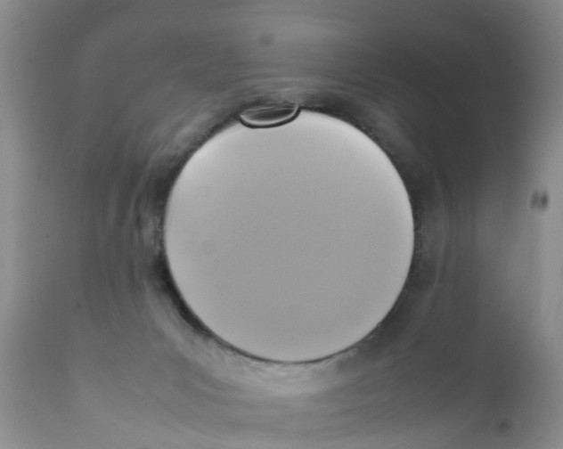 X0000111630031200908141354