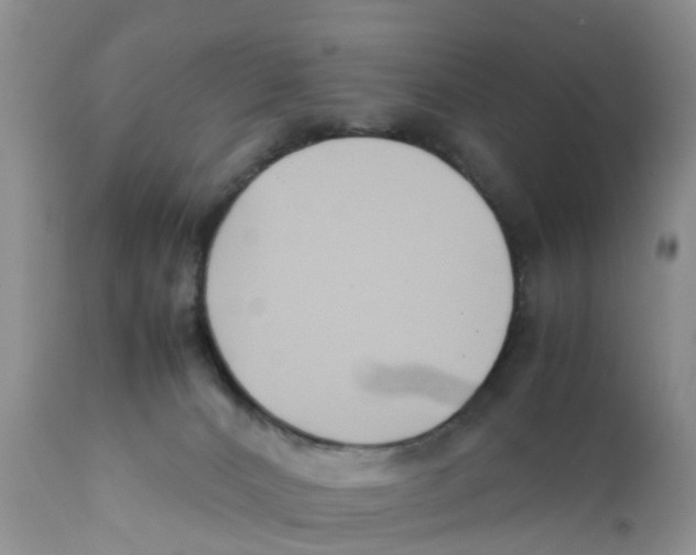 X0000111630032200908141354