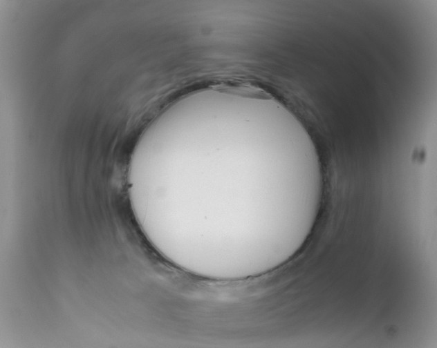 X0000111630033200908141354