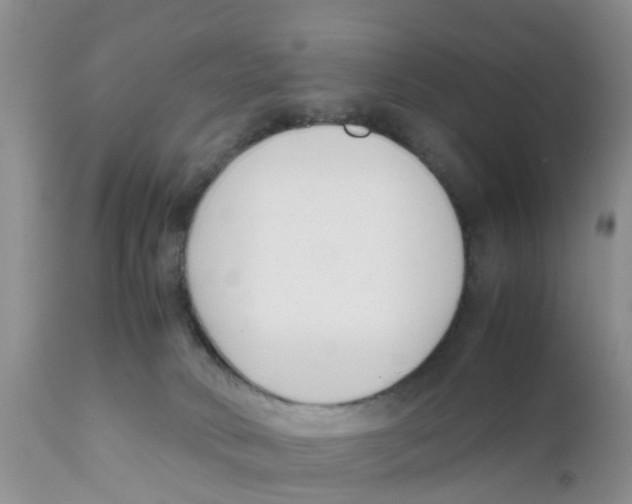 X0000111630034200908141354