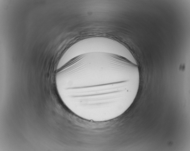 X0000111630035200908141354